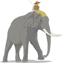 elephant-48415_640